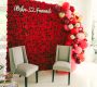 red-rose-flower-wall